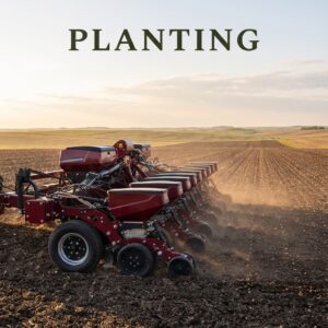 Planting
